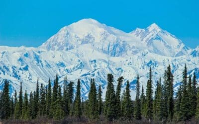 Denali National Park: What You Need To Know