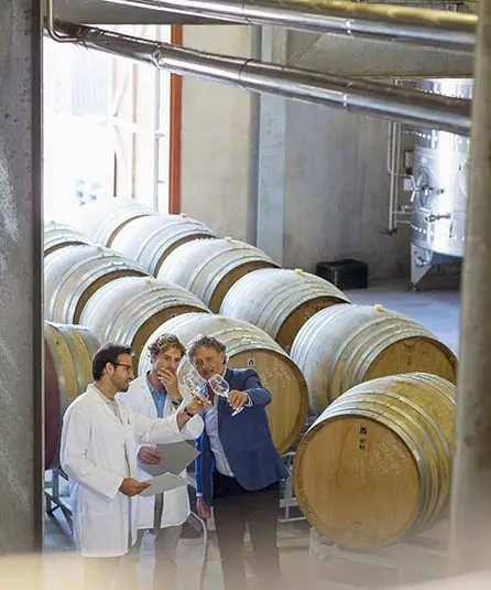 special-interest-travel - Best Travel Agents in NJ - JJ Travel Associates Wine tastings and tours